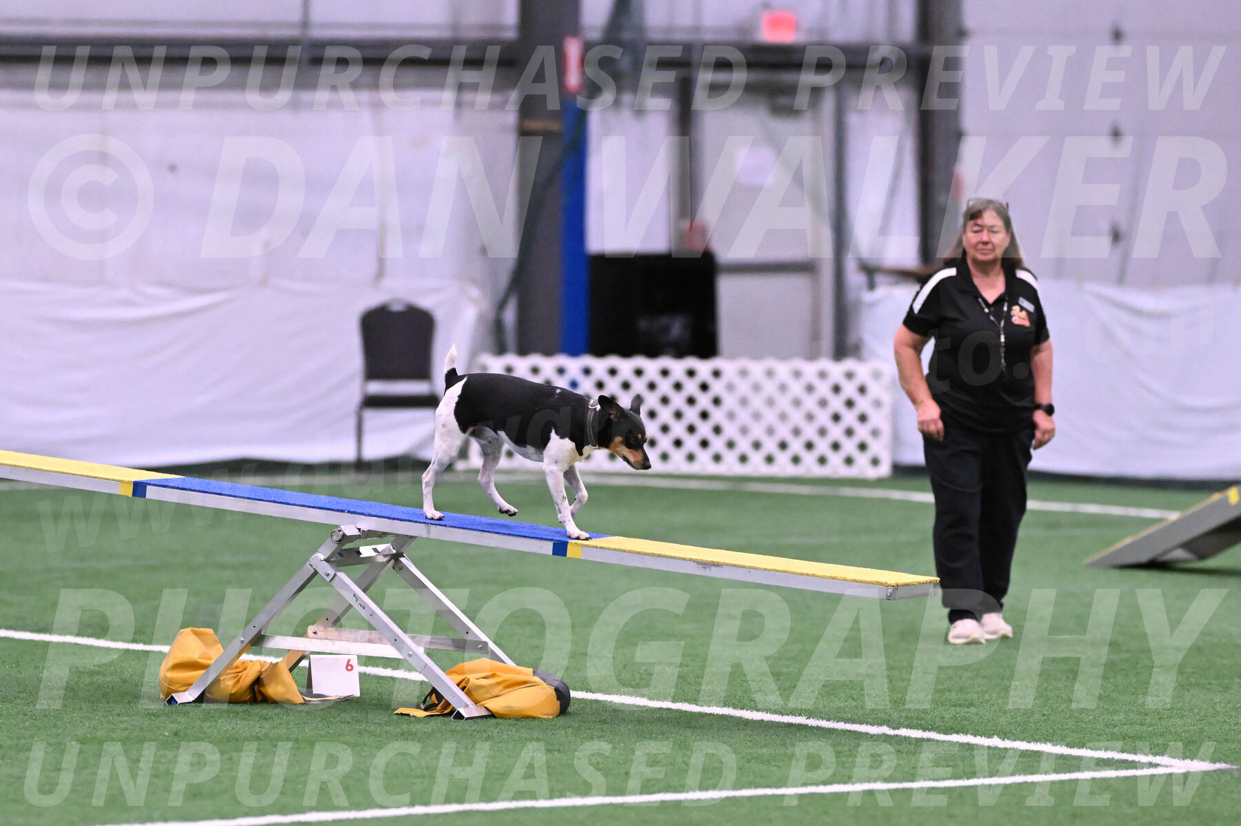 Denver-Sue-McGinty-06595