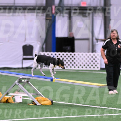 Denver-Sue-McGinty-06595