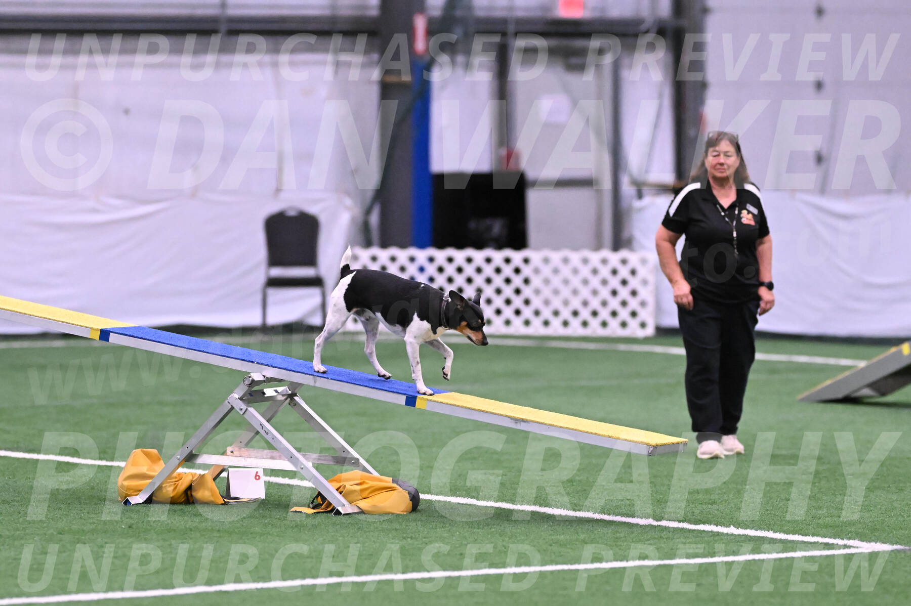 Denver-Sue-McGinty-06596