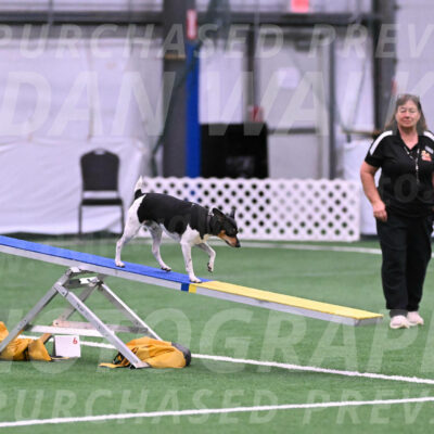 Denver-Sue-McGinty-06596