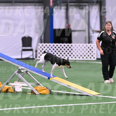 Denver-Sue-McGinty-06597