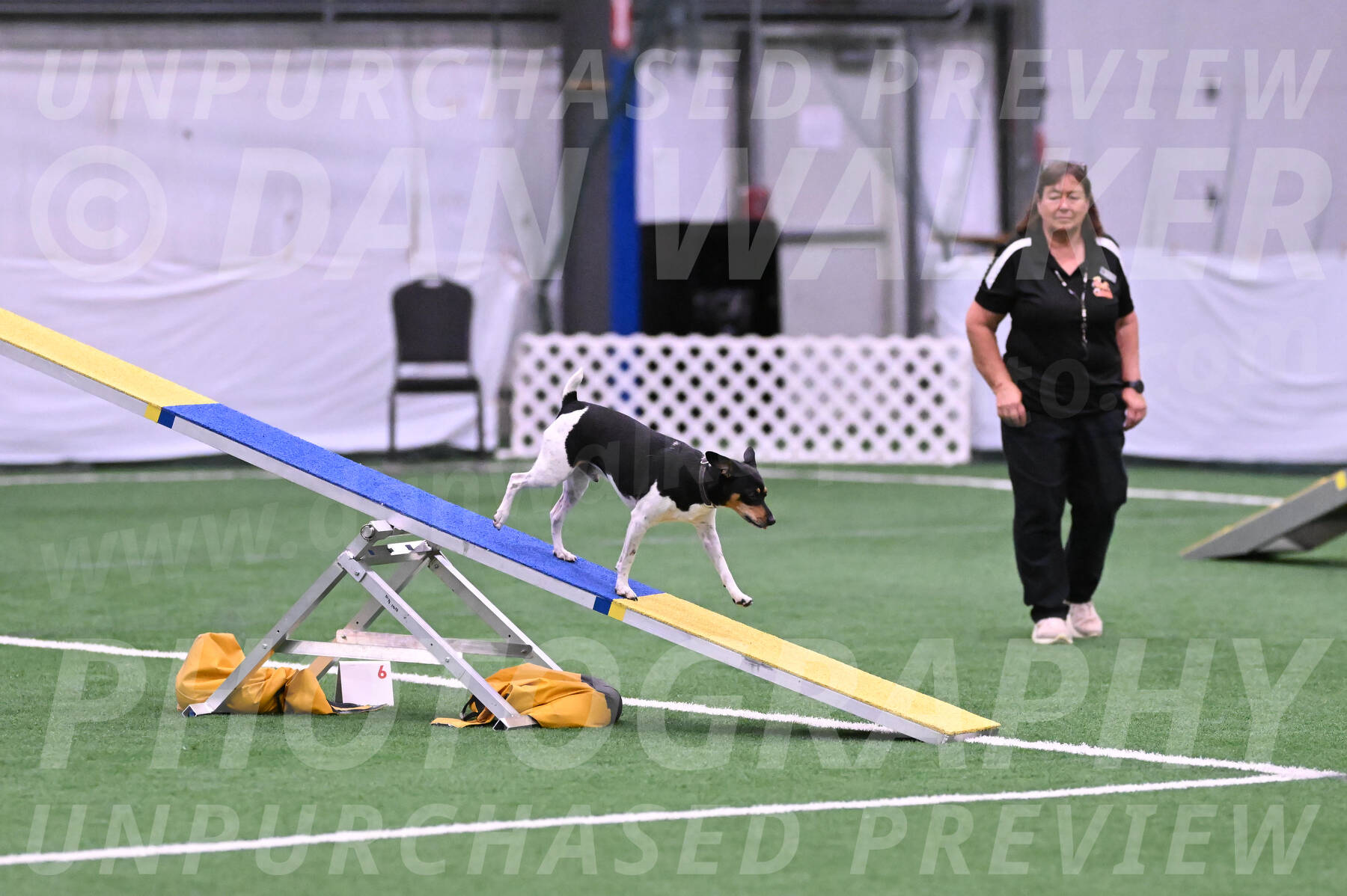 Denver-Sue-McGinty-06597