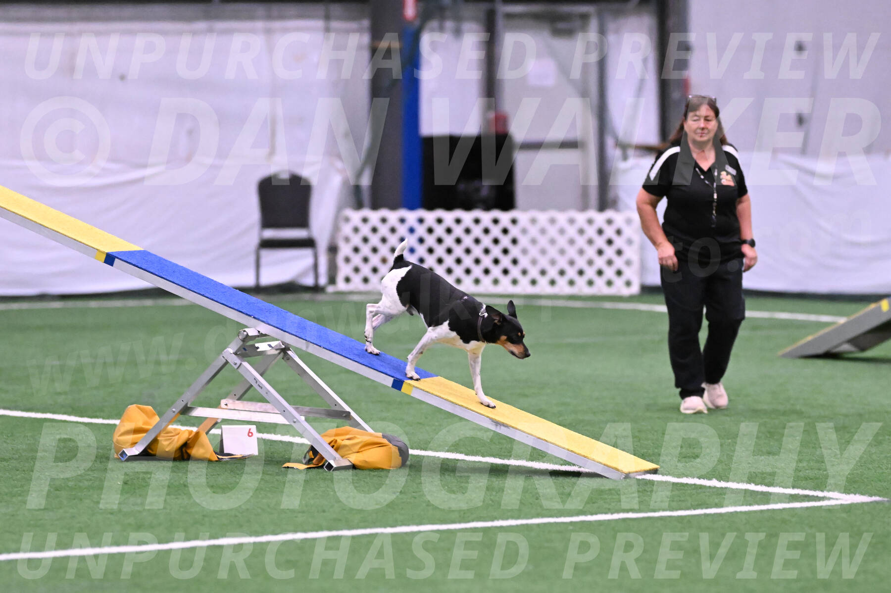 Denver-Sue-McGinty-06598
