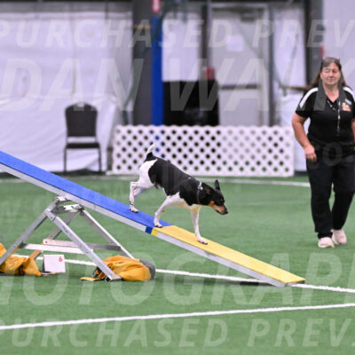 Denver-Sue-McGinty-06598