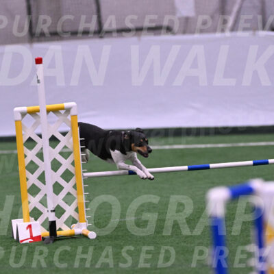Denver-Sue-McGinty-06599