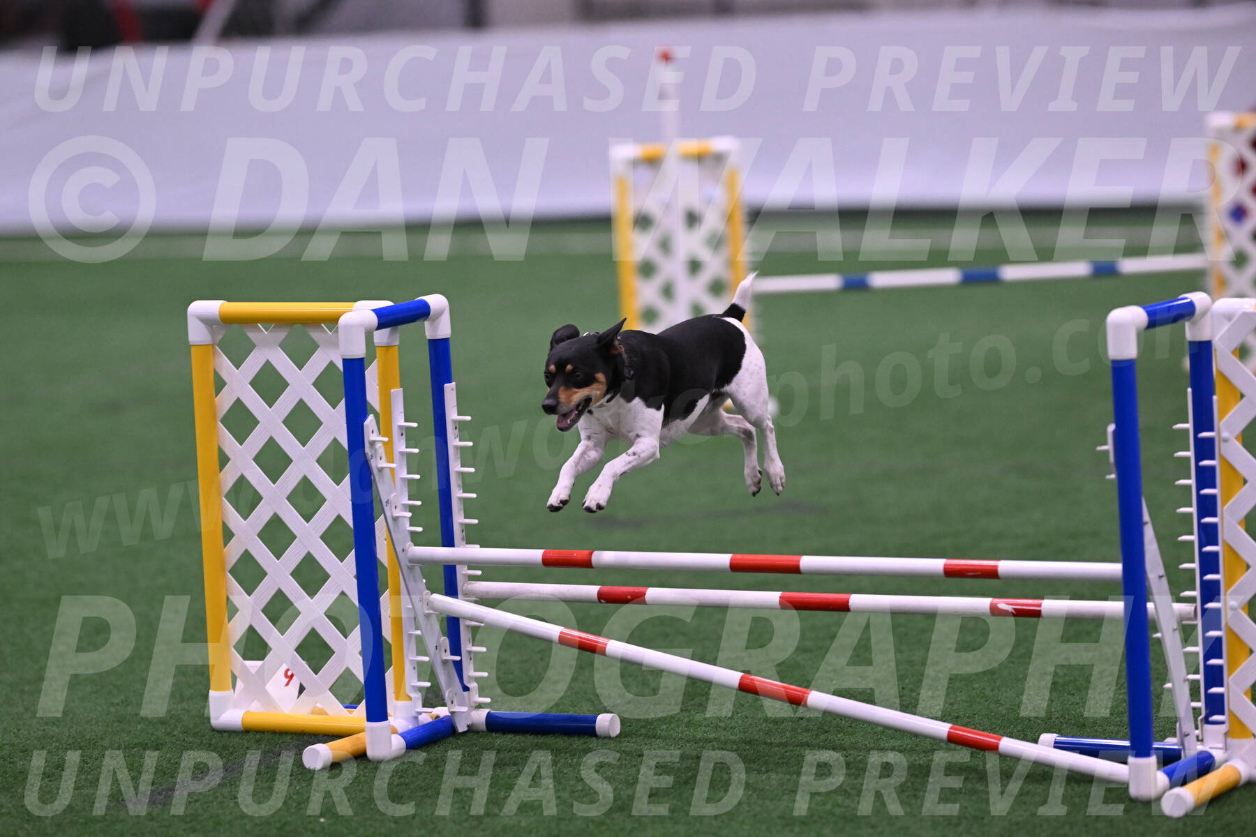 Denver-Sue-McGinty-06604