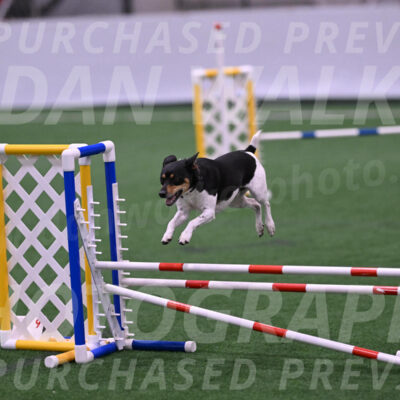 Denver-Sue-McGinty-06604