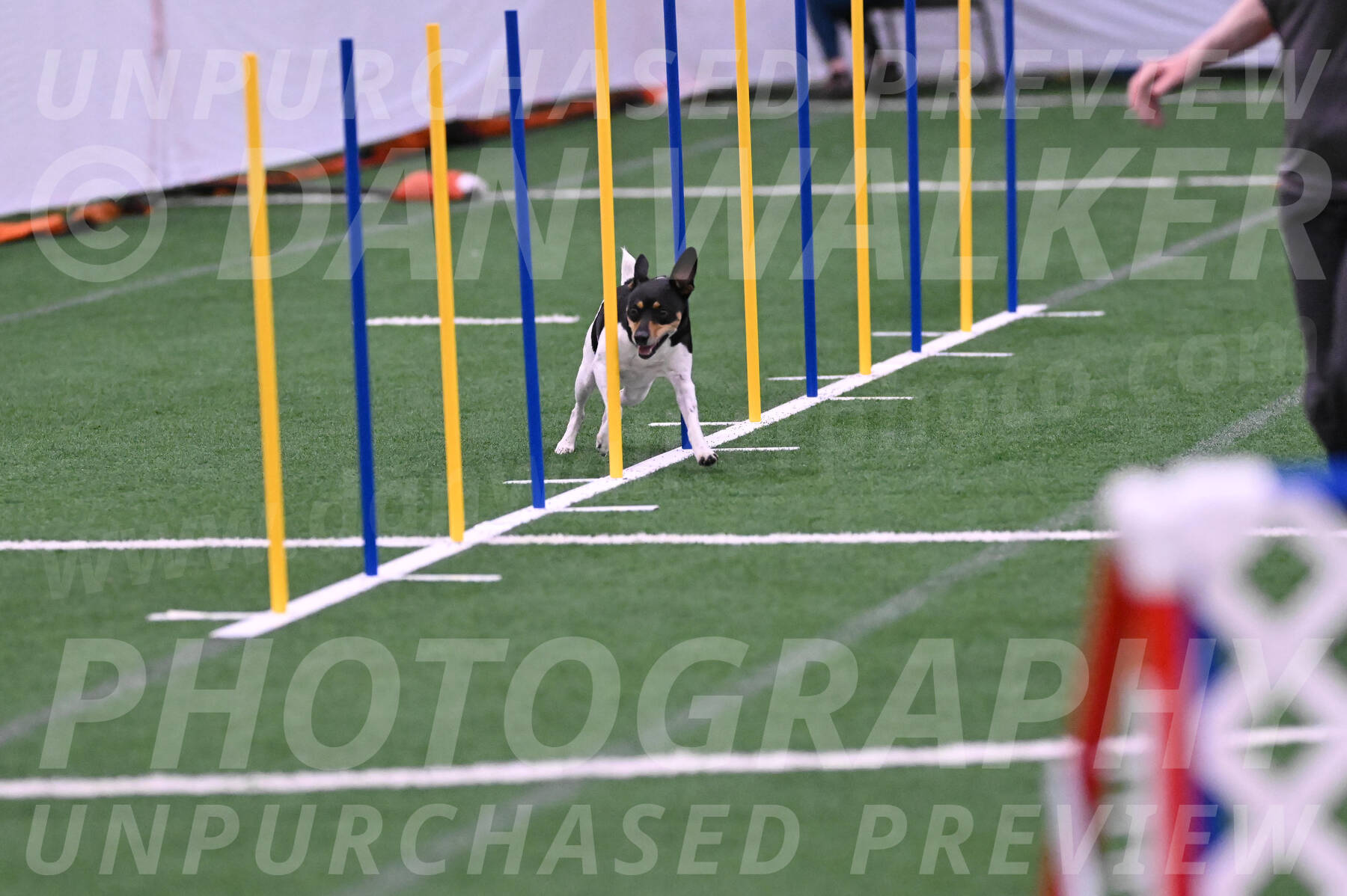 Denver-Sue-McGinty-06614