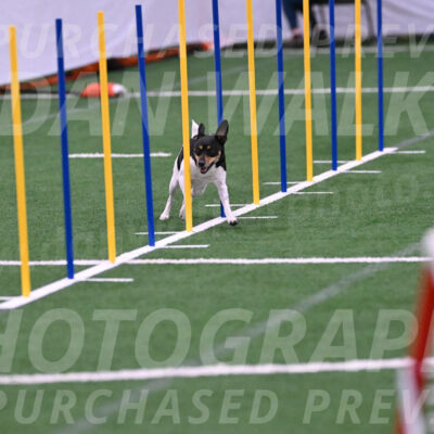 Denver-Sue-McGinty-06614