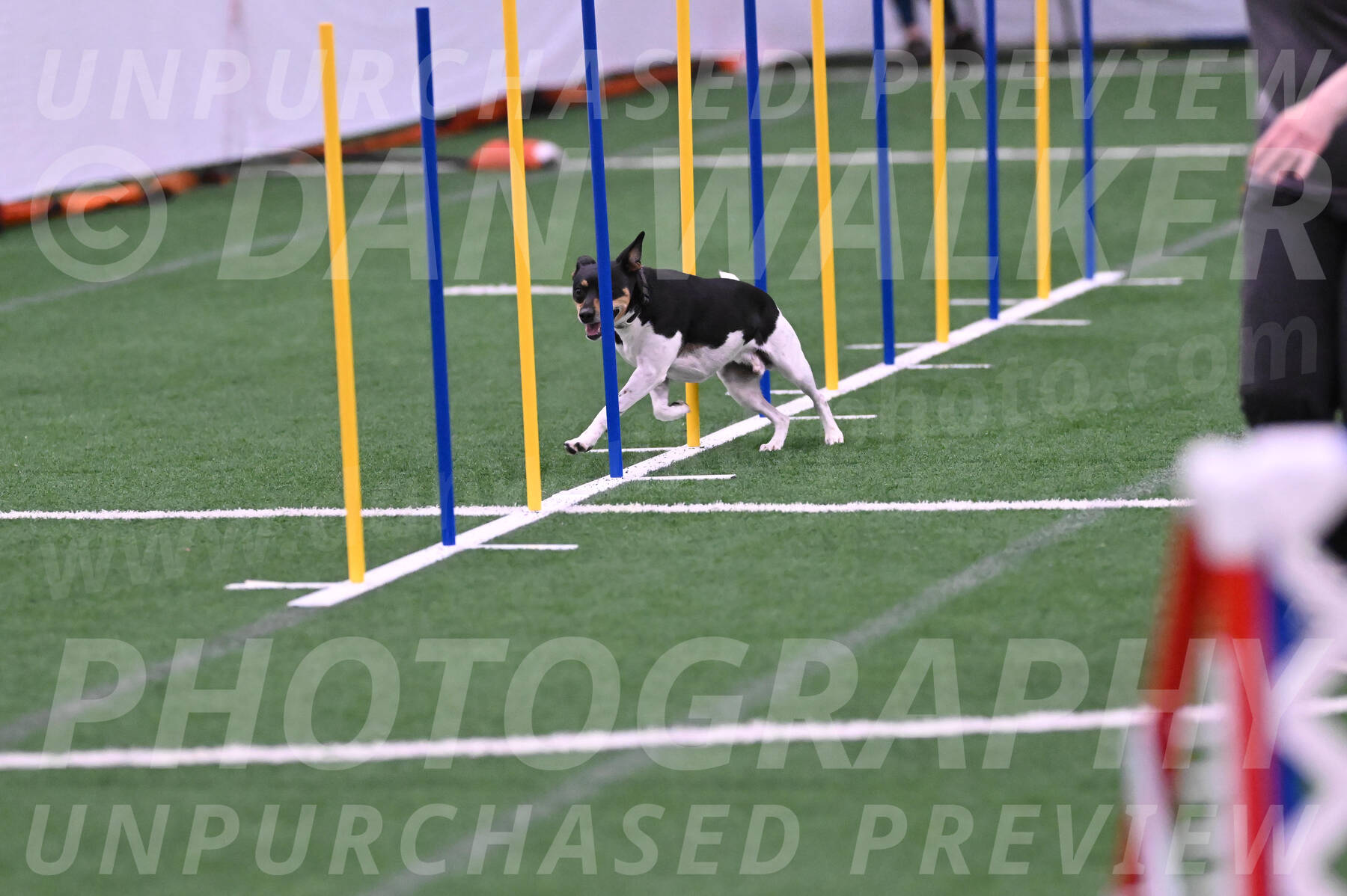 Denver-Sue-McGinty-06616