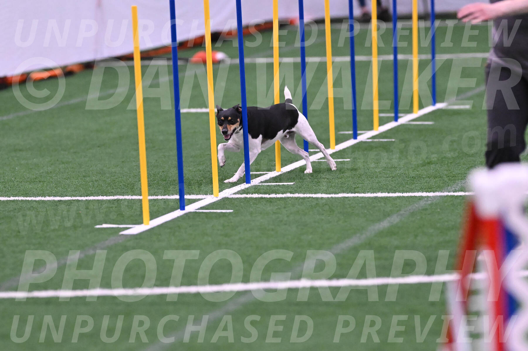 Denver-Sue-McGinty-06617