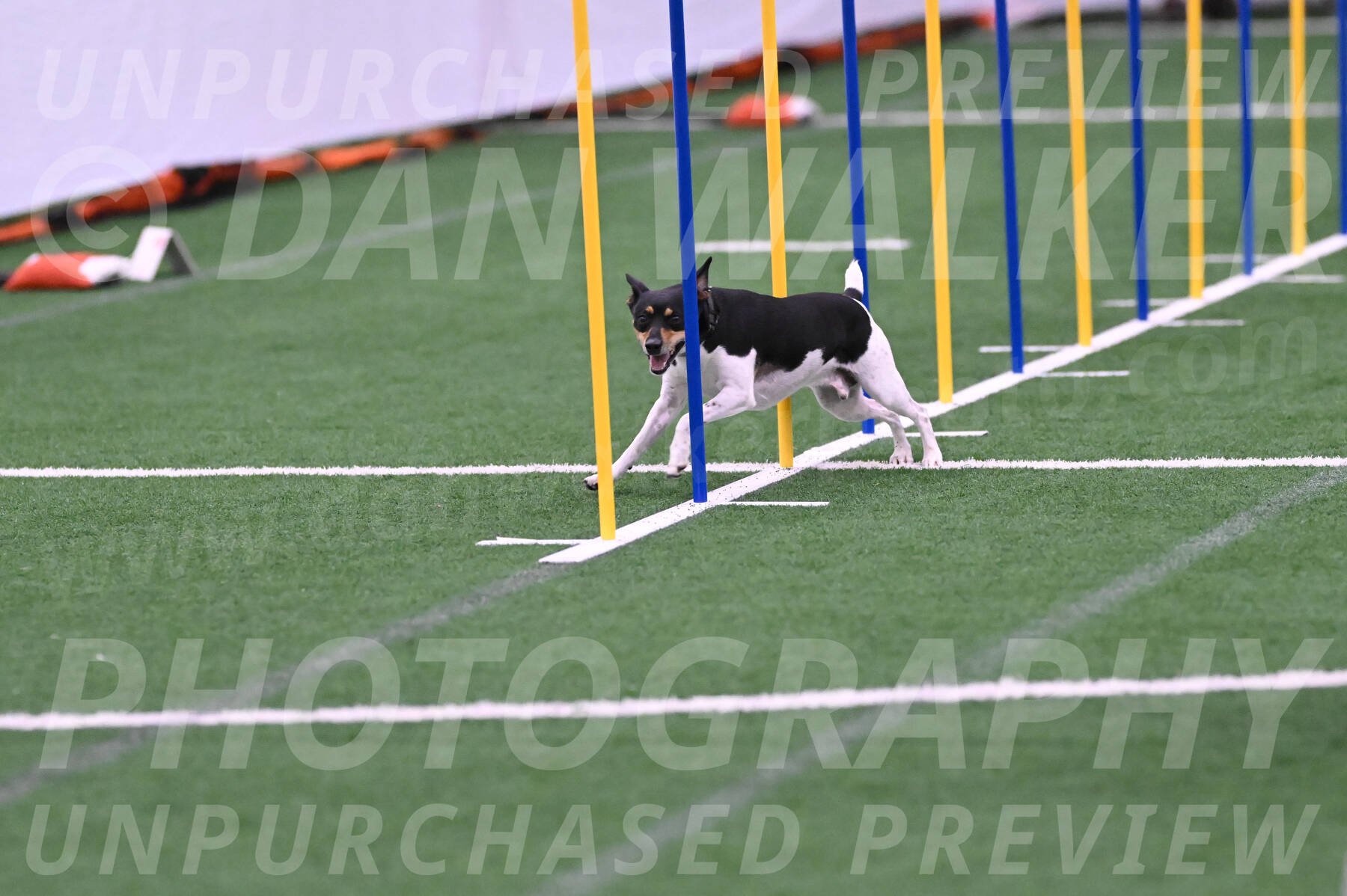 Denver-Sue-McGinty-06623
