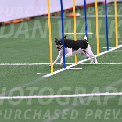 Denver-Sue-McGinty-06623