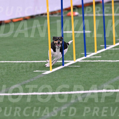 Denver-Sue-McGinty-06624