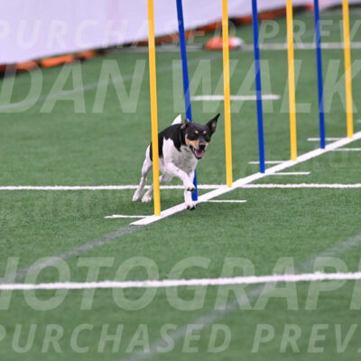 Denver-Sue-McGinty-06626