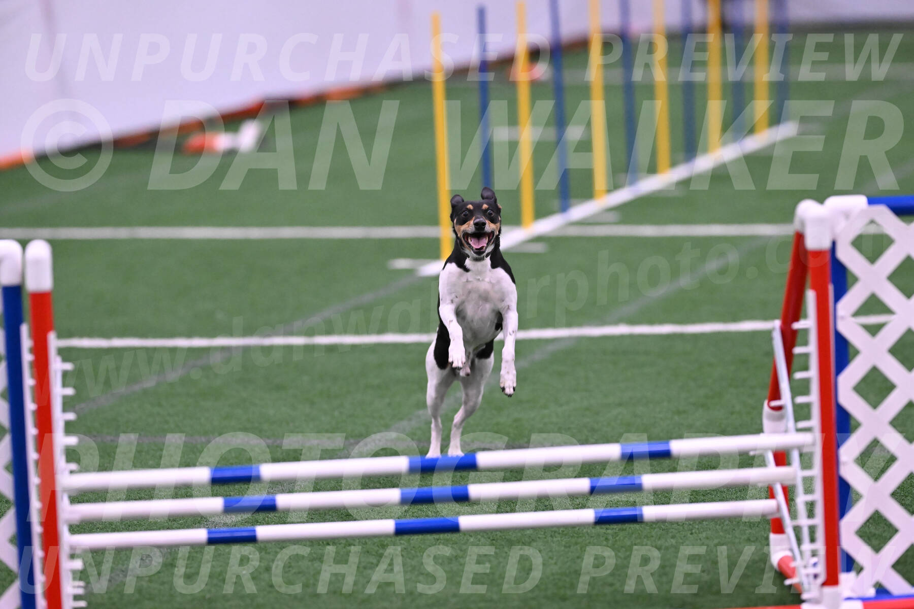 Denver-Sue-McGinty-06629