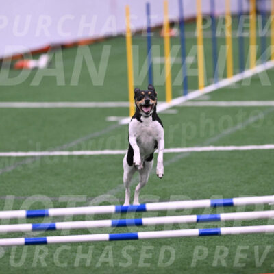 Denver-Sue-McGinty-06629