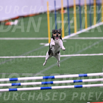 Denver-Sue-McGinty-06630