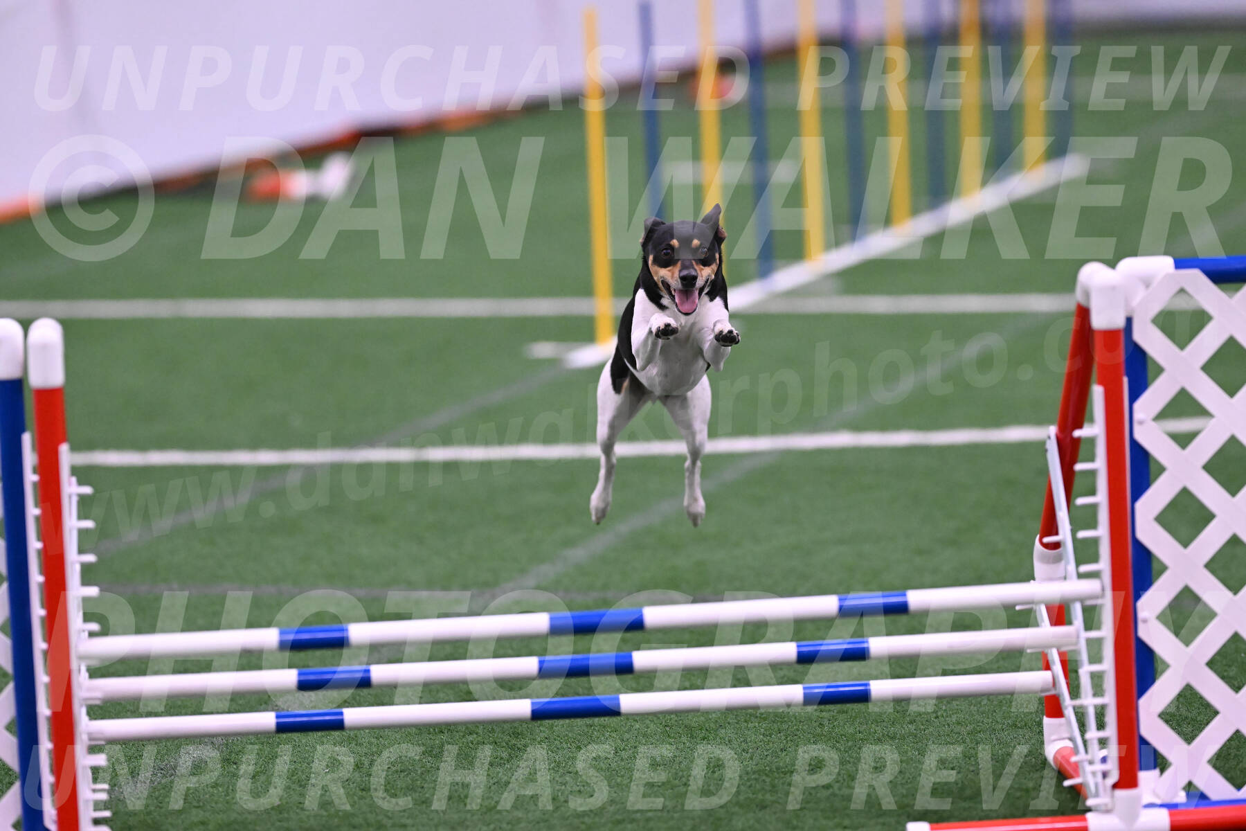 Denver-Sue-McGinty-06631