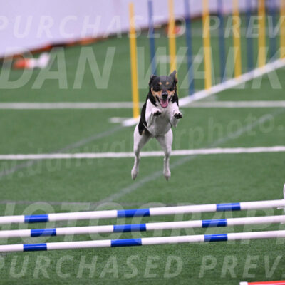 Denver-Sue-McGinty-06631