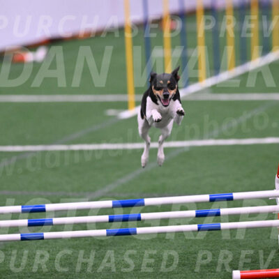 Denver-Sue-McGinty-06632