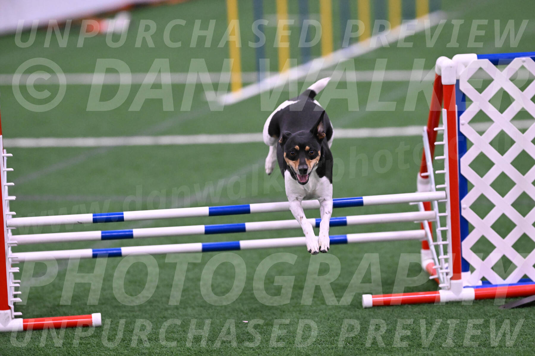 Denver-Sue-McGinty-06635