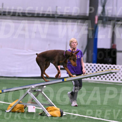Derby-Carol-Moore-16276