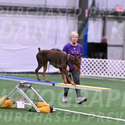 Derby-Carol-Moore-16278