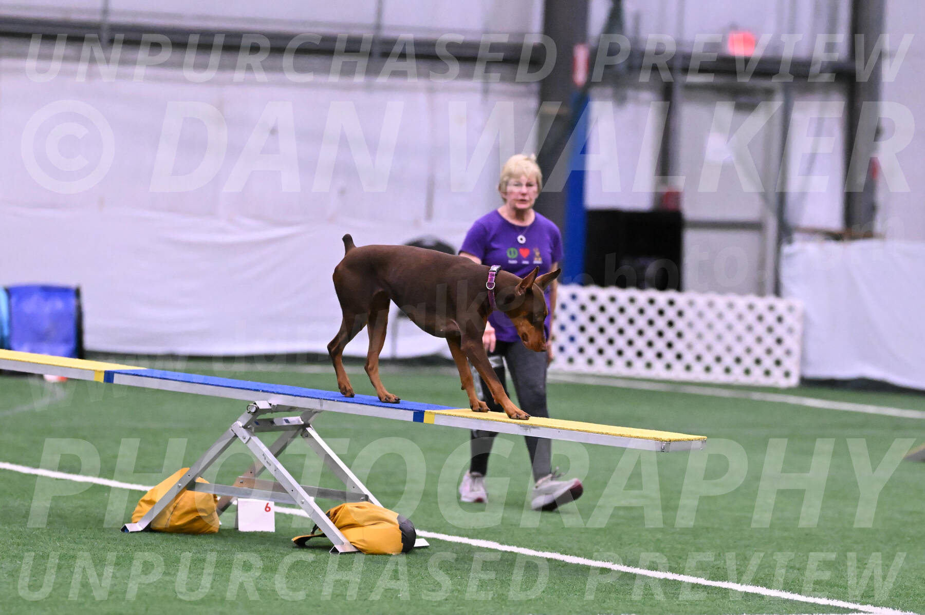 Derby-Carol-Moore-16278