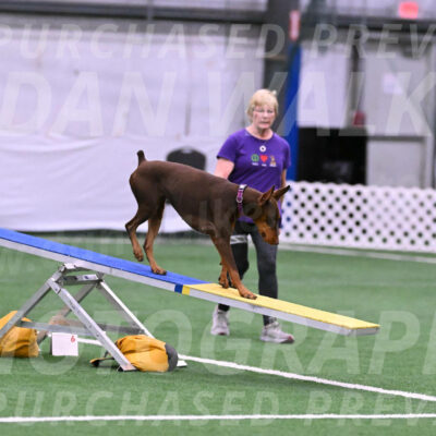 Derby-Carol-Moore-16279