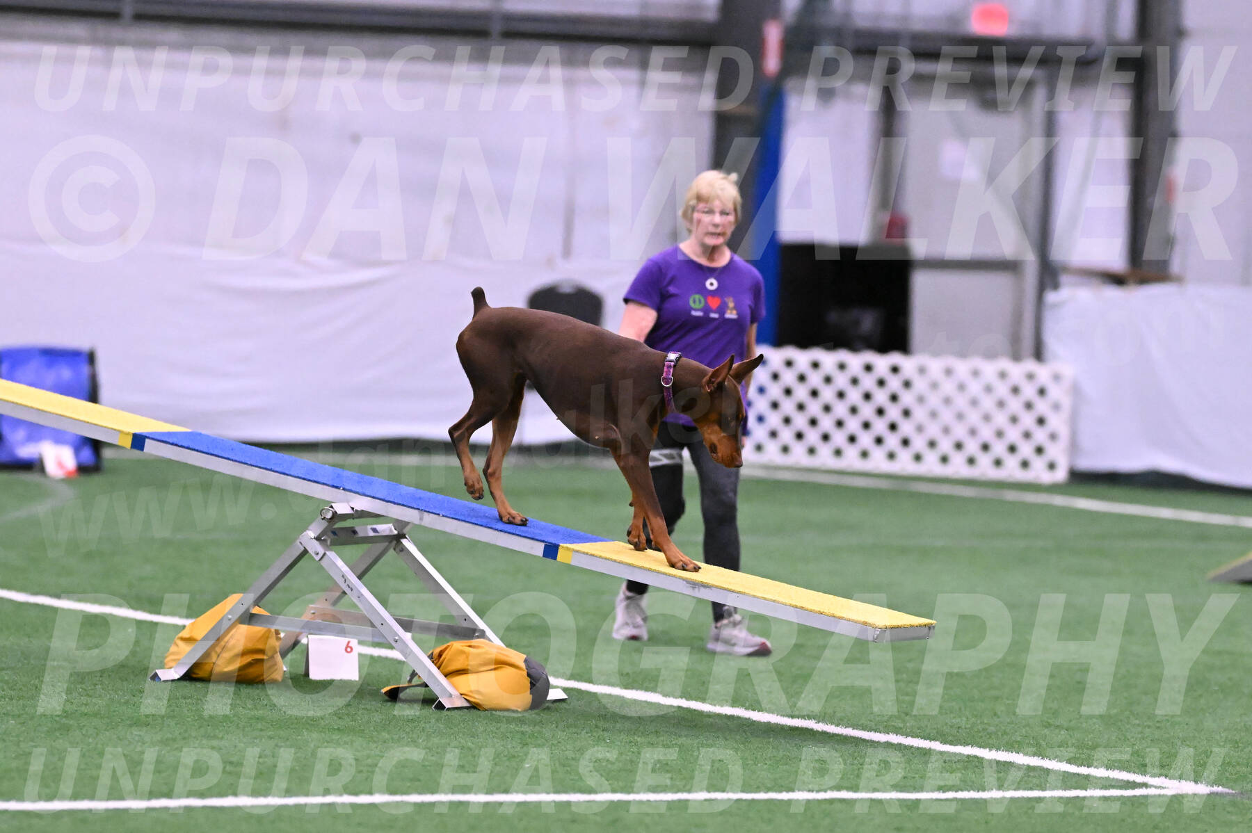 Derby-Carol-Moore-16279