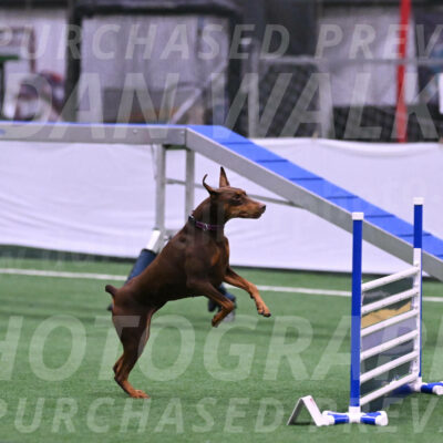 Derby-Carol-Moore-16281