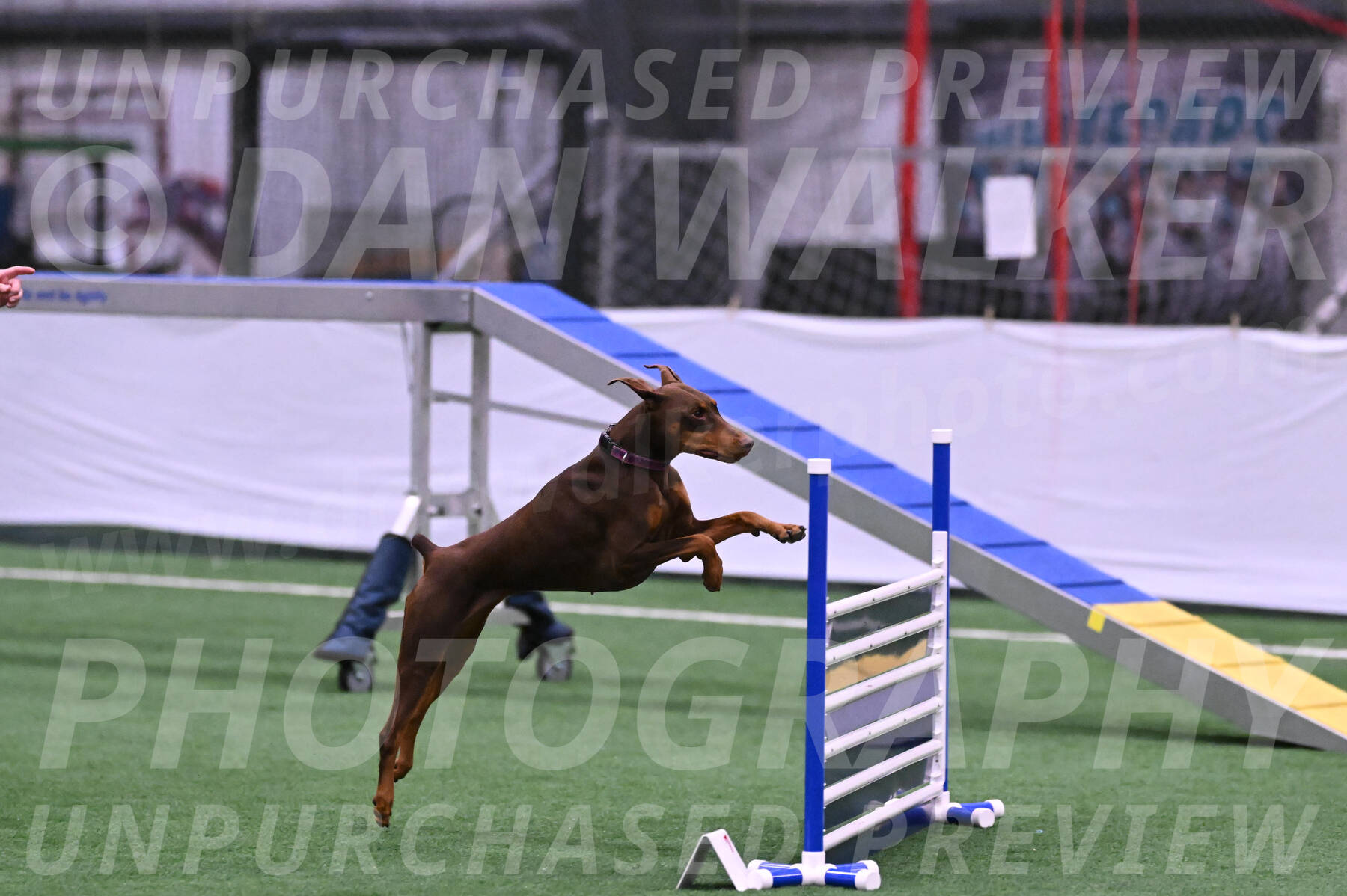 Derby-Carol-Moore-16282