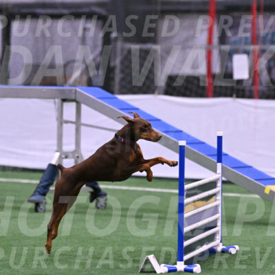 Derby-Carol-Moore-16282