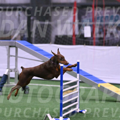 Derby-Carol-Moore-16283