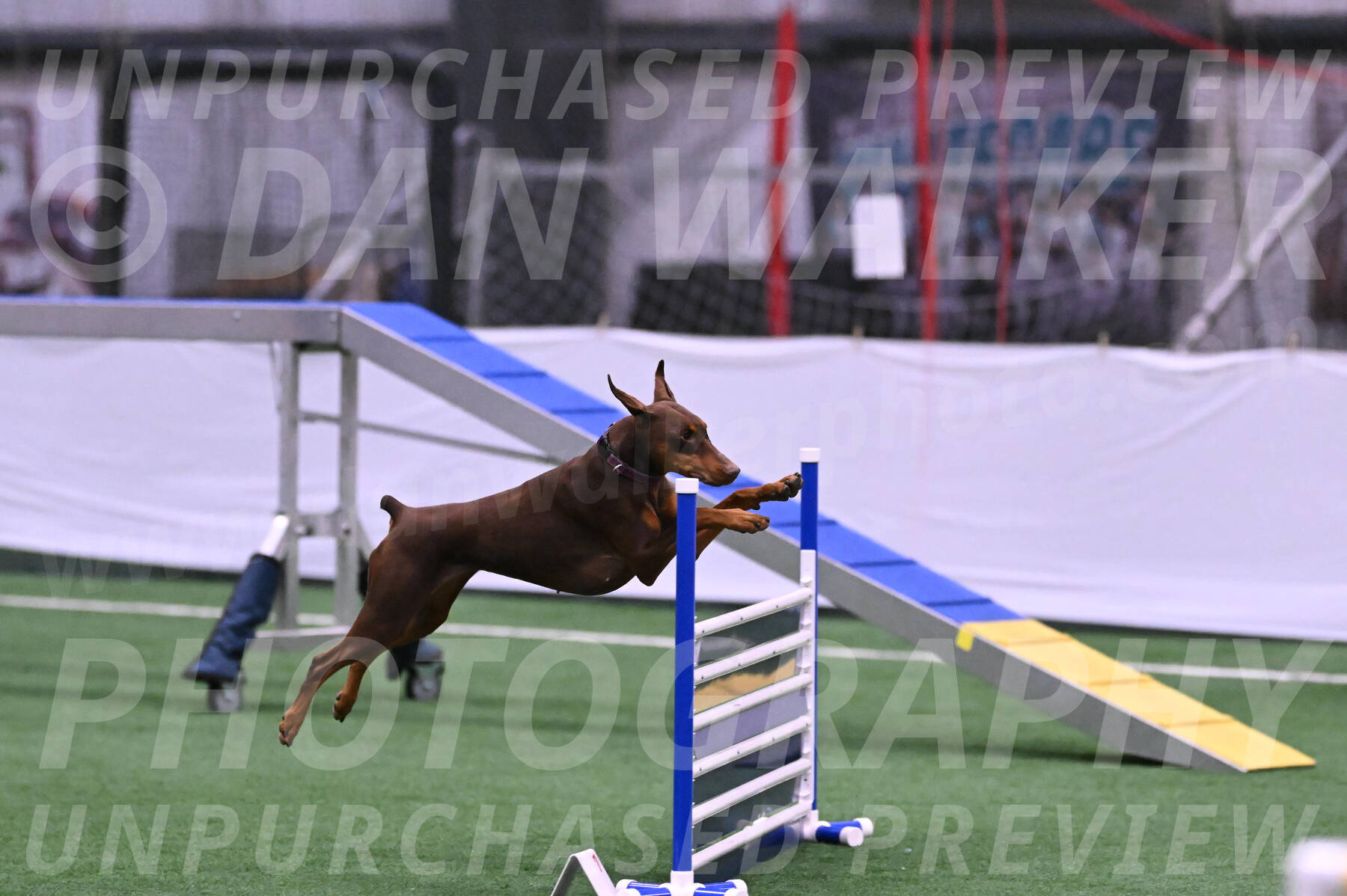 Derby-Carol-Moore-16283