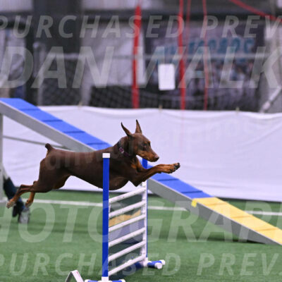Derby-Carol-Moore-16284
