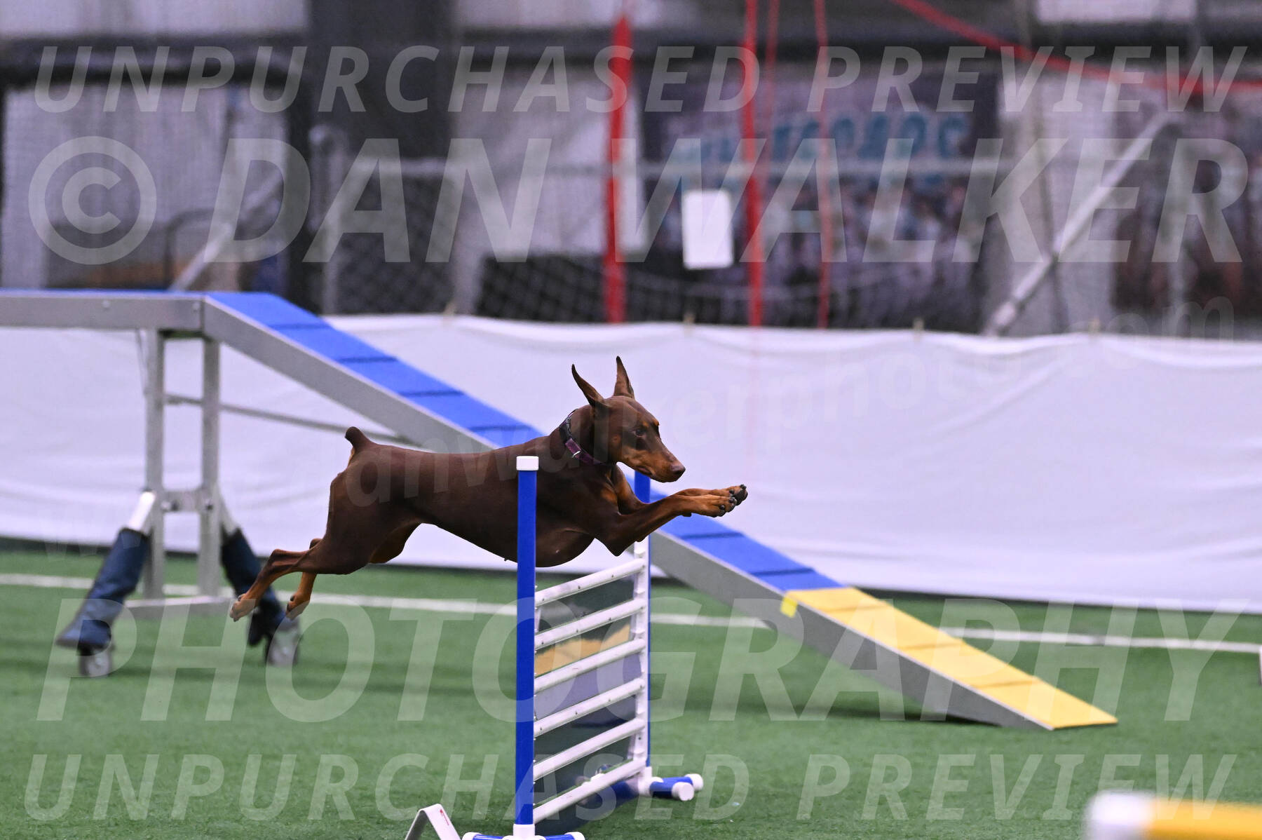 Derby-Carol-Moore-16284