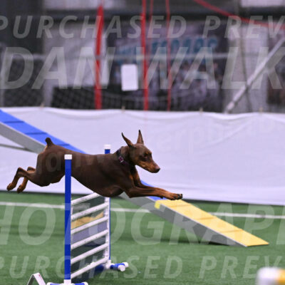 Derby-Carol-Moore-16285