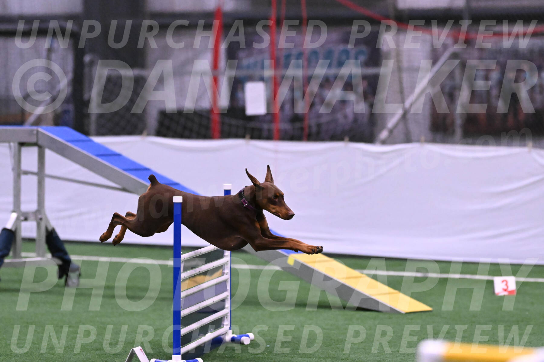 Derby-Carol-Moore-16285