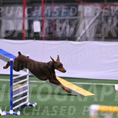 Derby-Carol-Moore-16286
