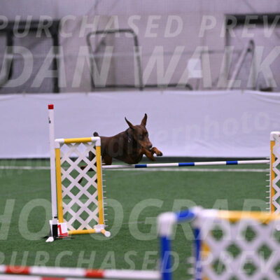 Derby-Carol-Moore-16287