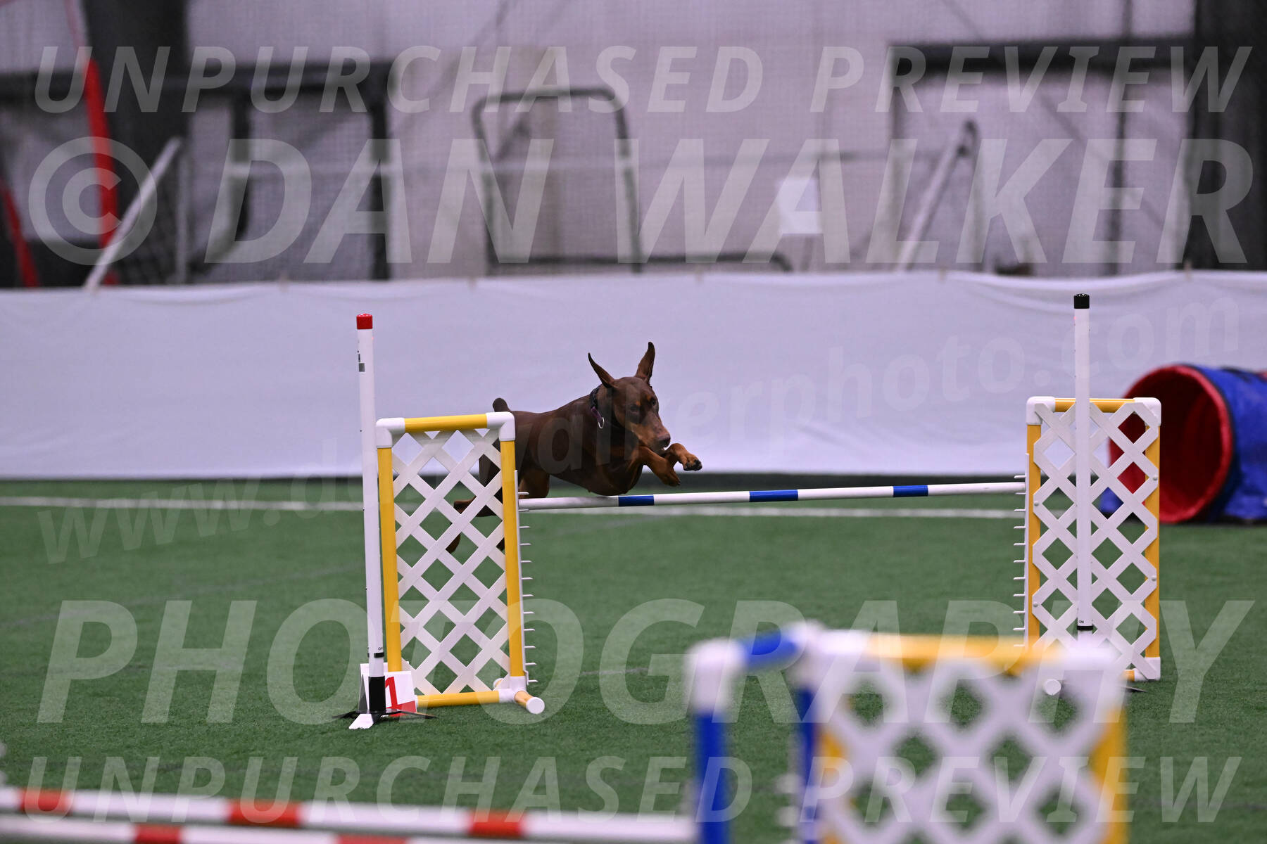 Derby-Carol-Moore-16287