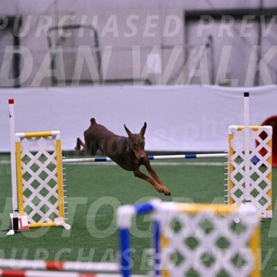 Derby-Carol-Moore-16289