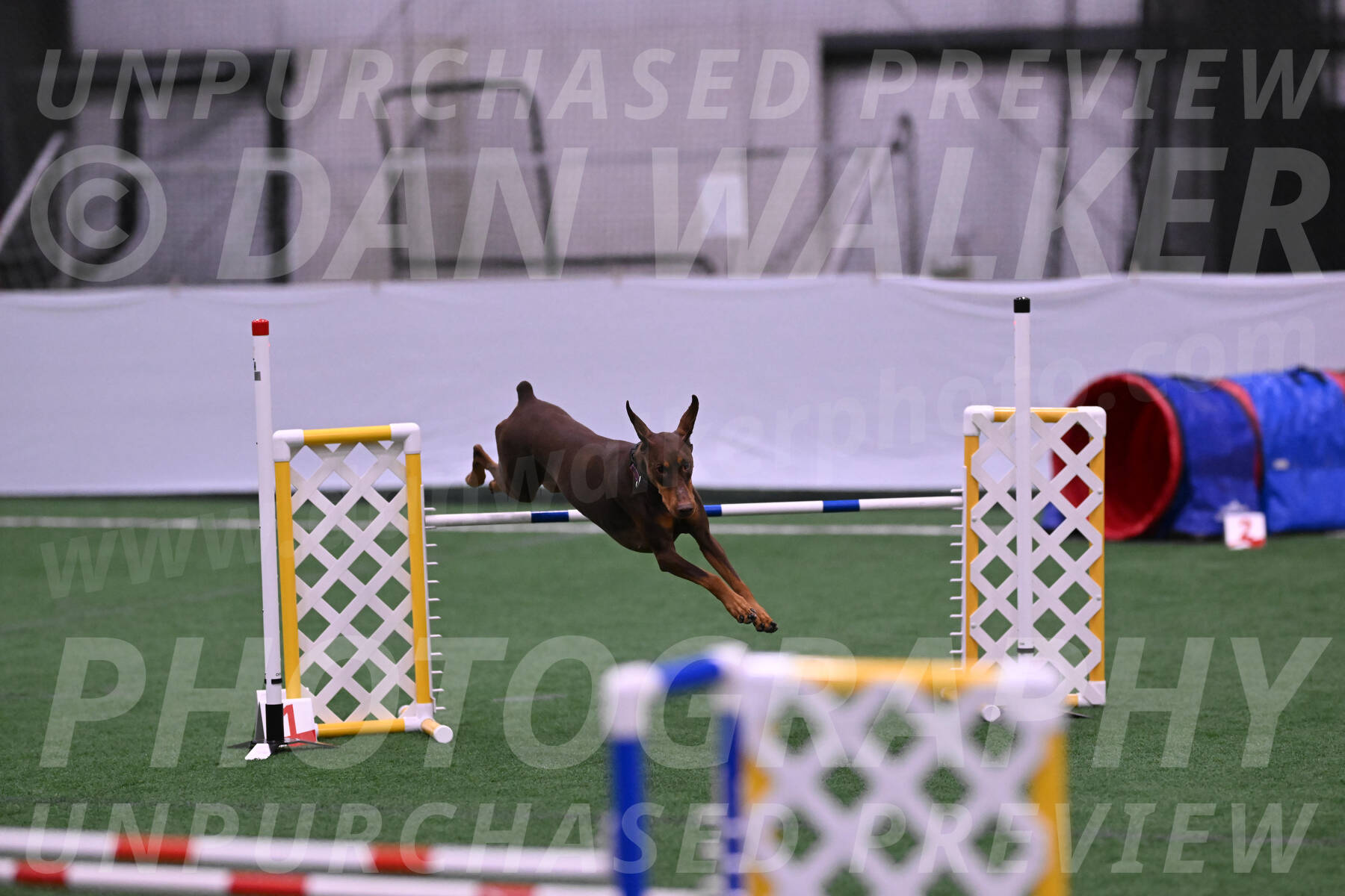 Derby-Carol-Moore-16289