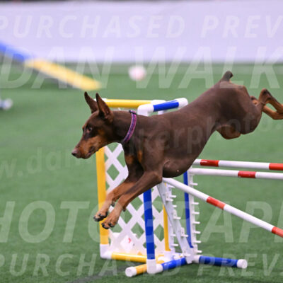 Derby-Carol-Moore-16295