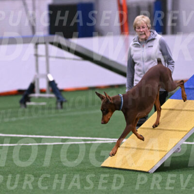 Derby-Carol-Moore-16323