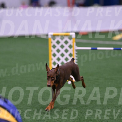 Derby-Carol-Moore-16331