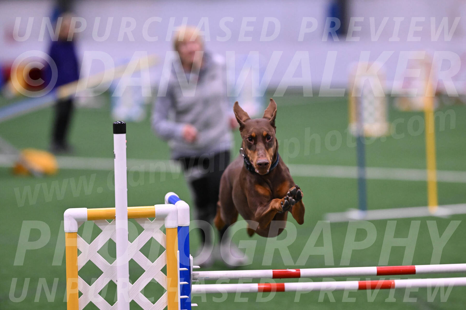Derby-Carol-Moore-16381
