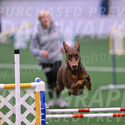 Derby-Carol-Moore-16381